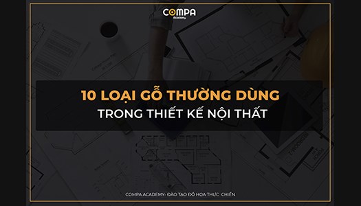 10 LOẠI GỖ THƯỜNG DÙNG TRONG THIẾT KẾ NỘI THẤT