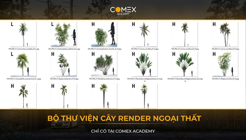 COMEX ACADEMY TẶNG BẠN 1 VOL THƯ VIỆN CÂY SIÊU CHẤT 